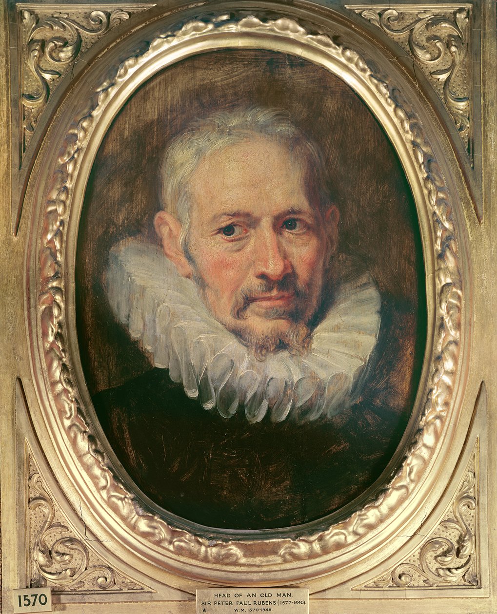 Kopf eines alten Mannes von Peter Paul Rubens
