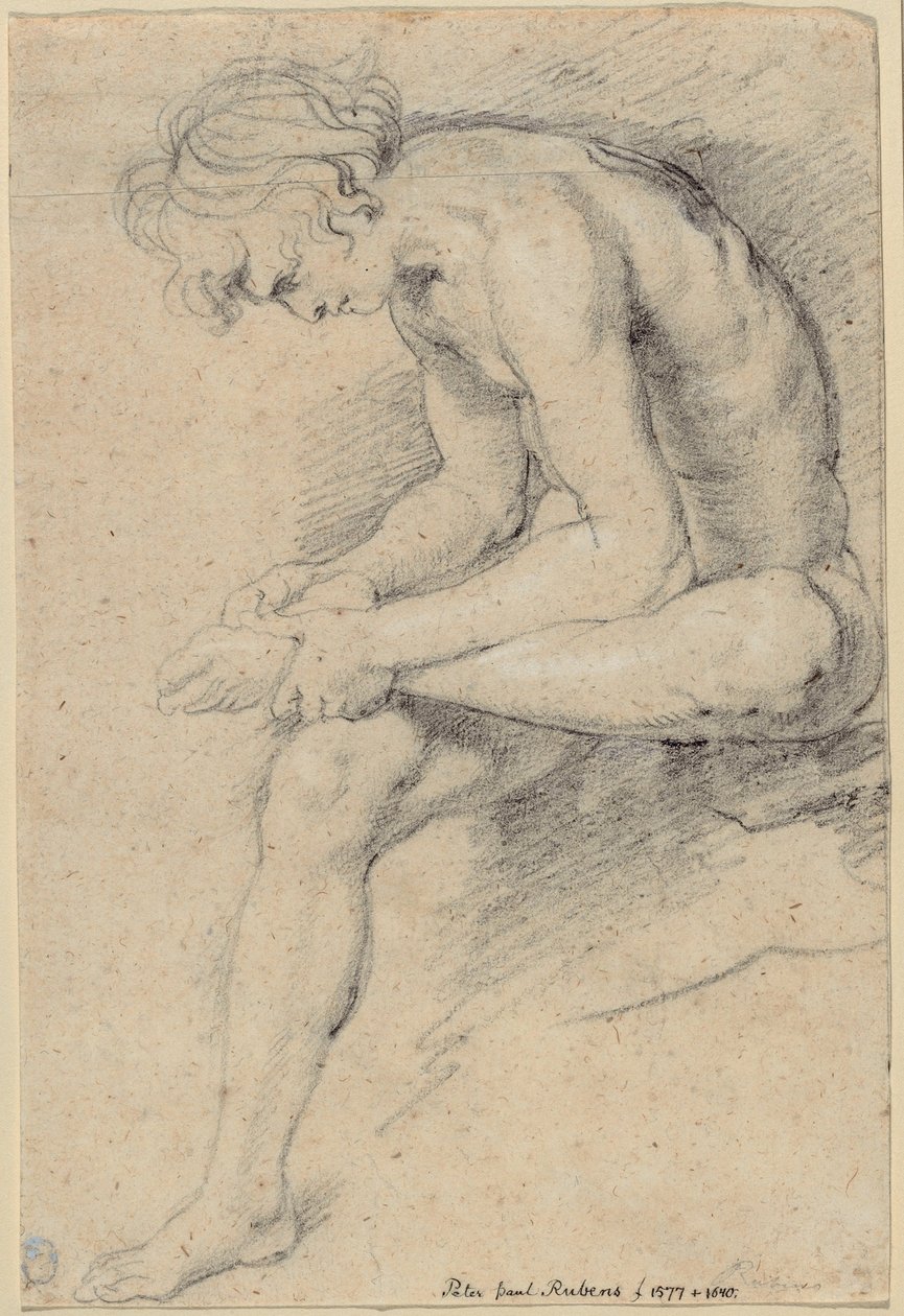 Nackter Jüngling in der Pose des Spinario von Peter Paul Rubens