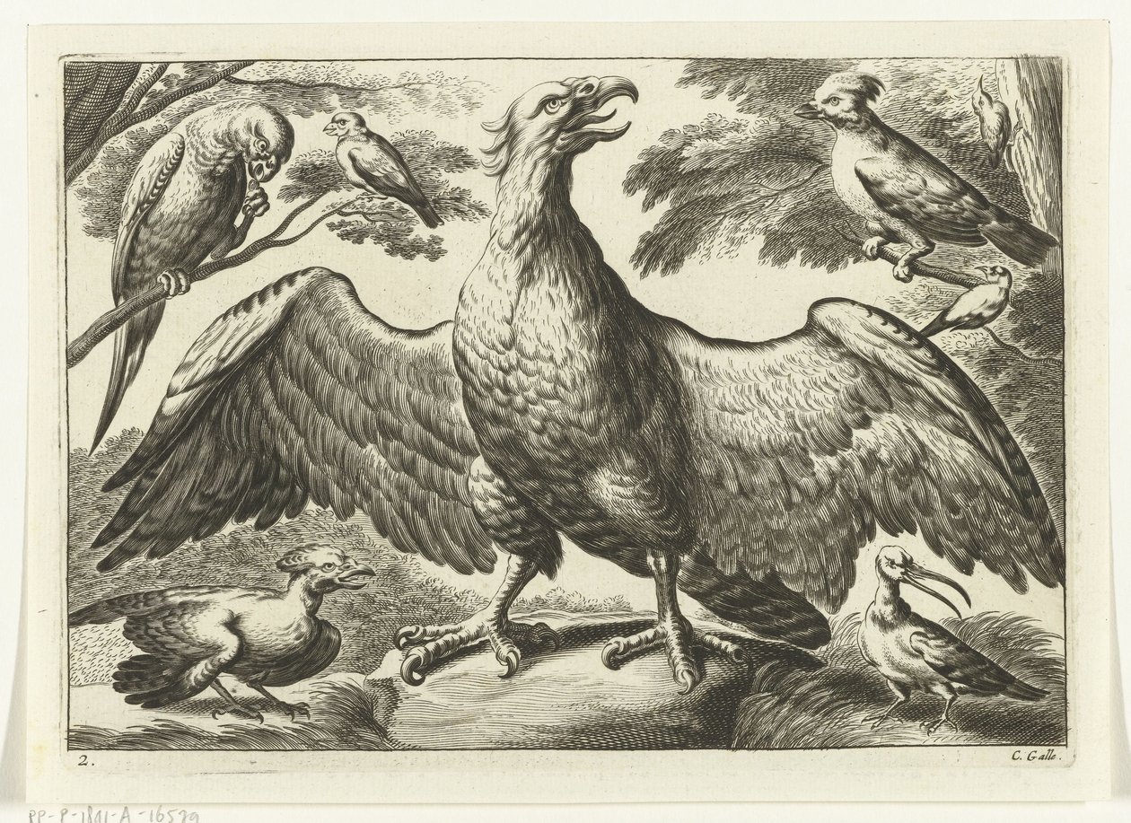 Adler von Peter van Liesebetten