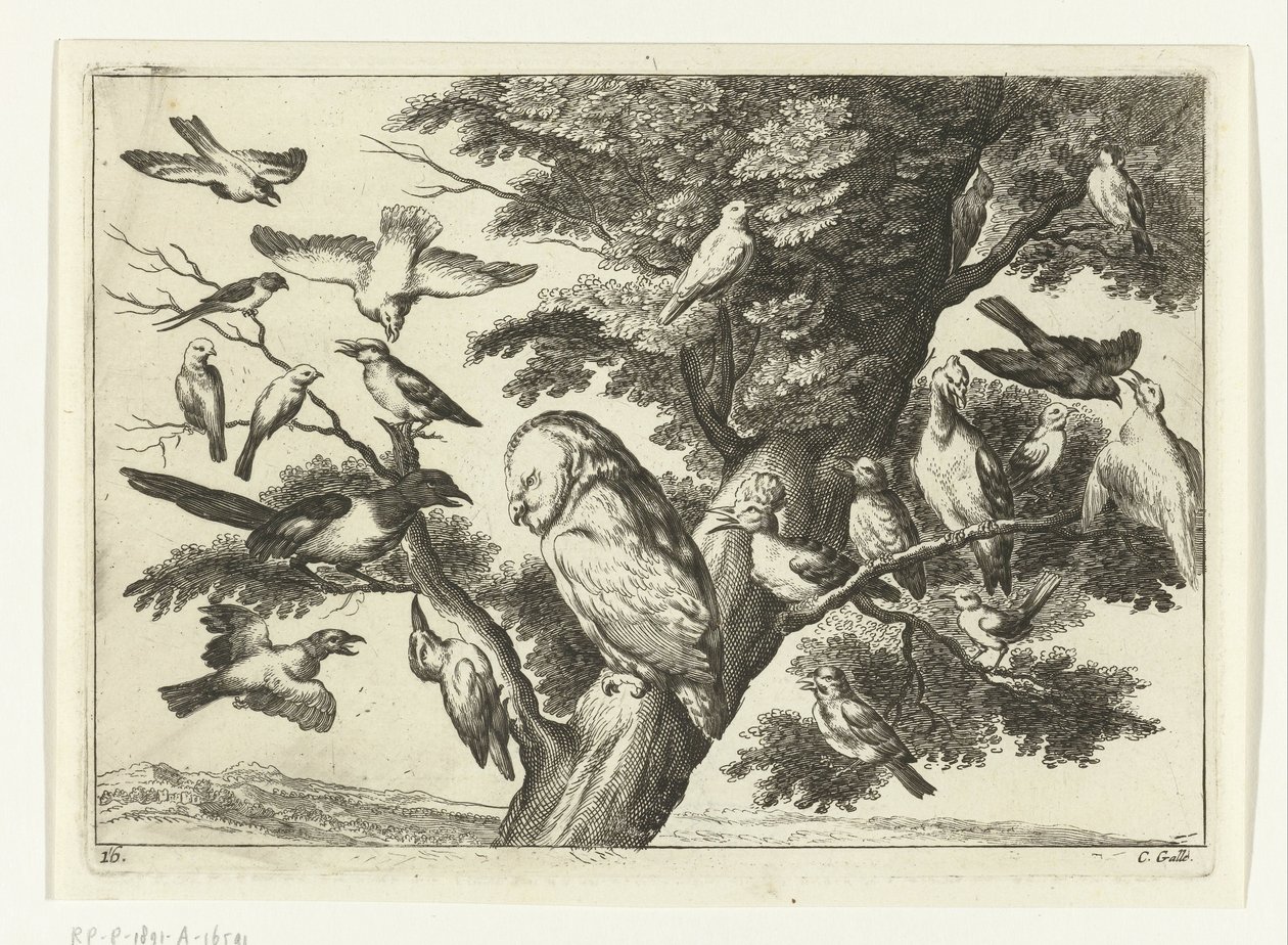 Vögel in einem Baum von Peter van Liesebetten