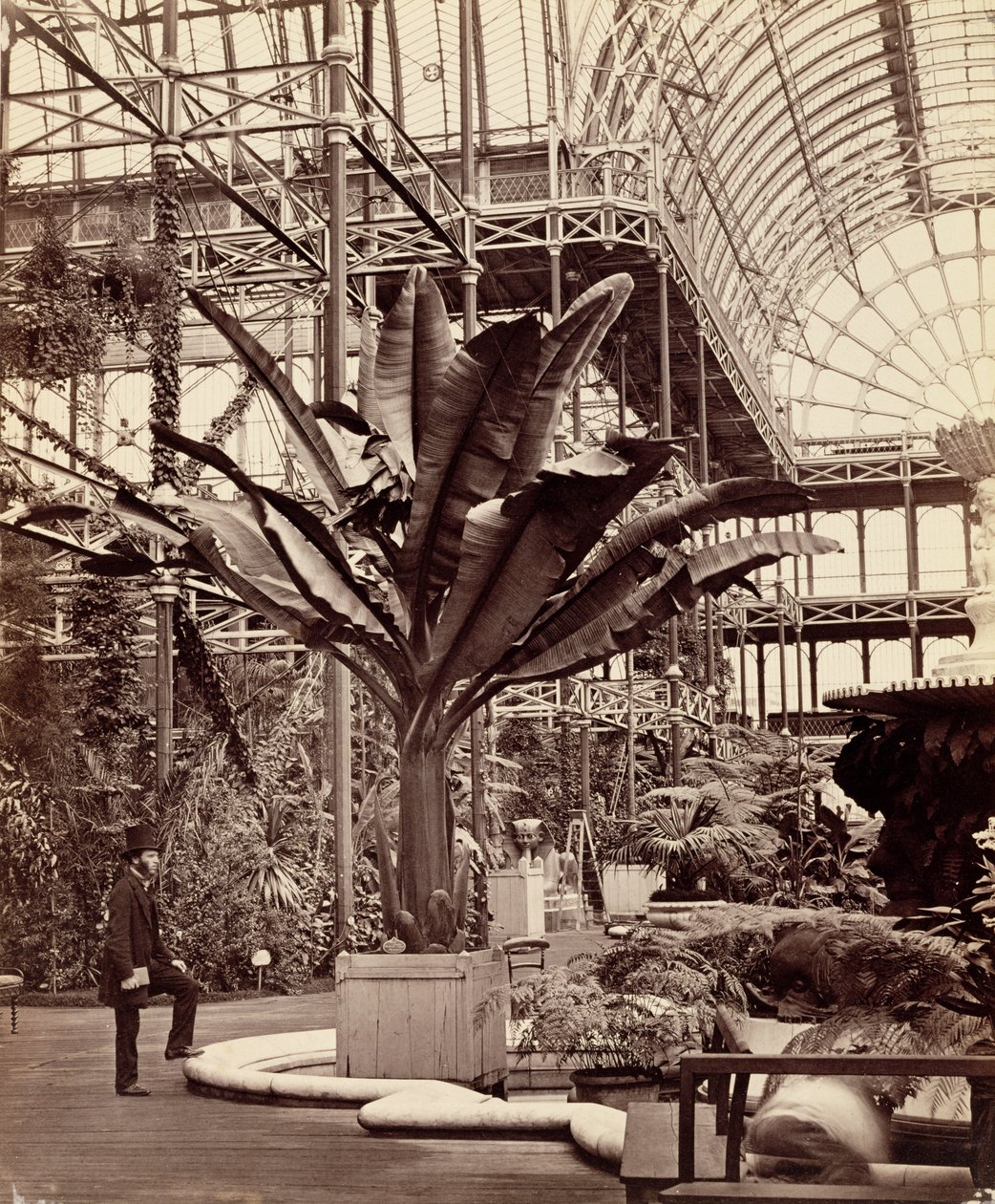Tropische Pflanzen im Ägyptischen Raum, Kristallpalast, Sydenham, 1854 von Philip Henry Delamotte
