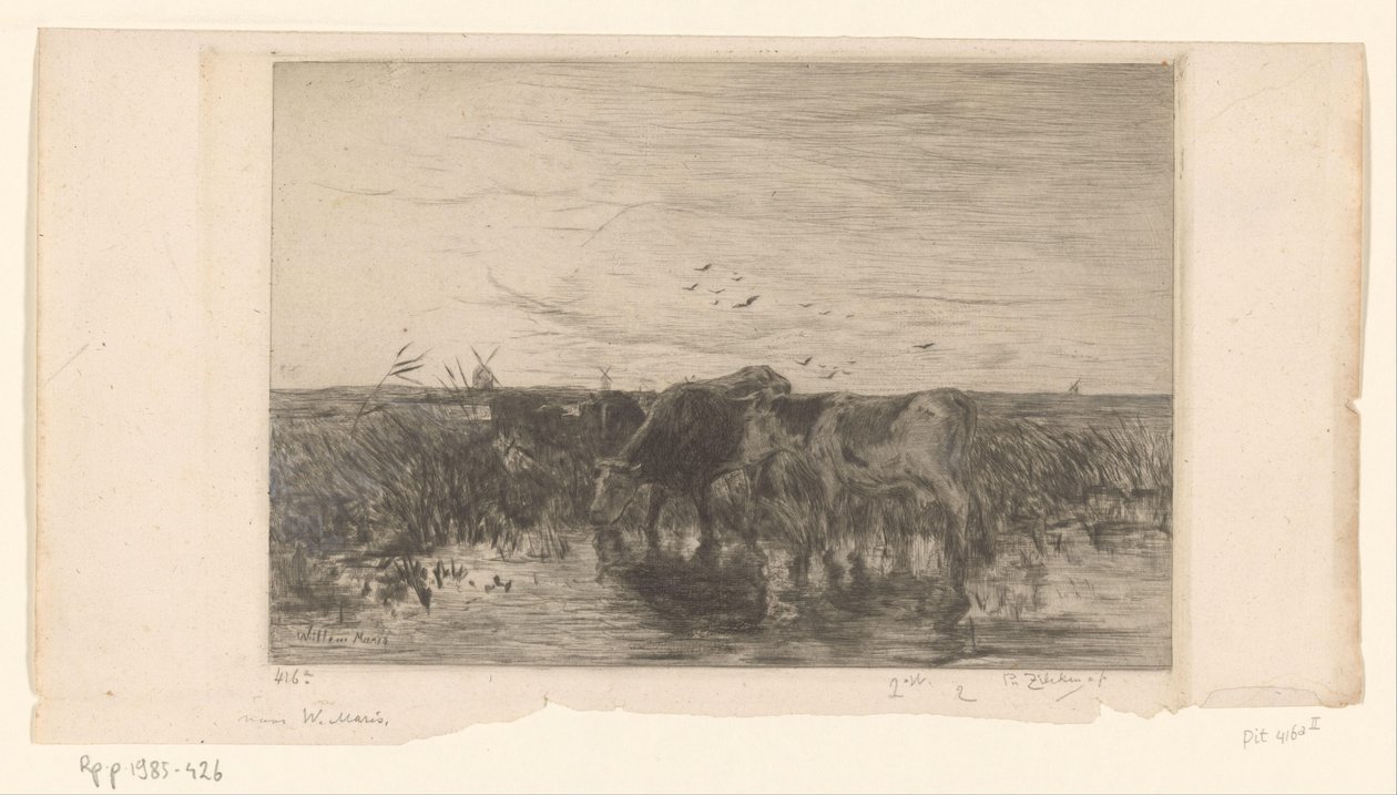 Kühe am Wasser in einer Weide von Philip Zilcken (signed by artist)