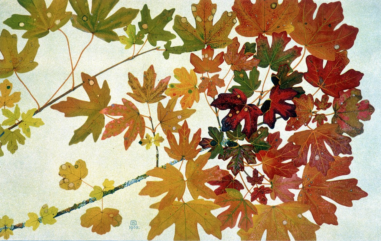 Herbstblätter, von Philippe Robert, Ausgaben Robert Ried von Philippe Robert