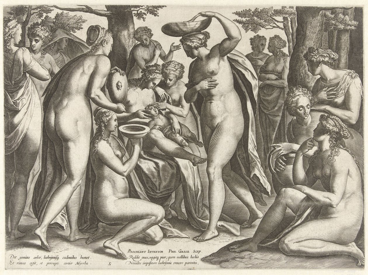 Erziehung des Adonis von Philips Galle