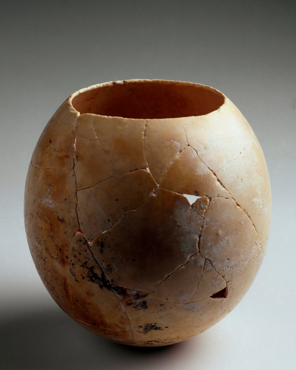 Phönizische Kunst: leeres Straußenei. Aus Laurita (Almunecar). 7. Jahrhundert v. Chr. Granada, Archäologisches Museum. von Phoenician