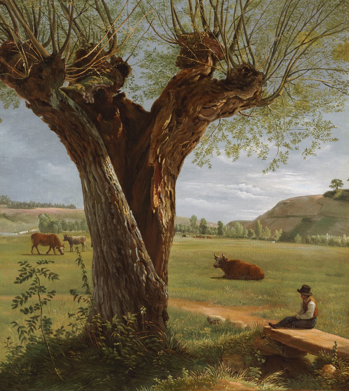 Kopfweide, nach 1804 von Pierre Jean Boquet