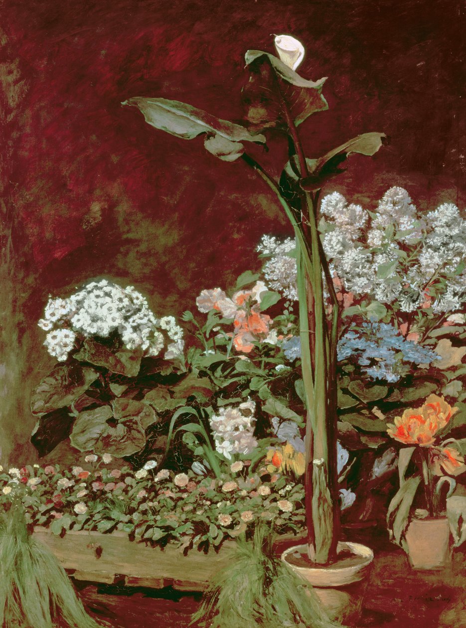 Lilien und Gewächshauspflanzen von Pierre Auguste Renoir