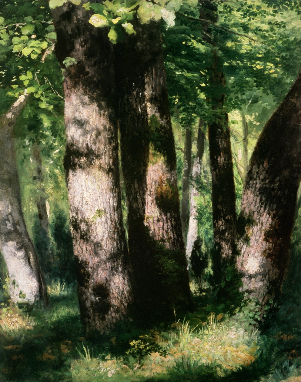 Unbekanntes Bild von Pierre Auguste Renoir
