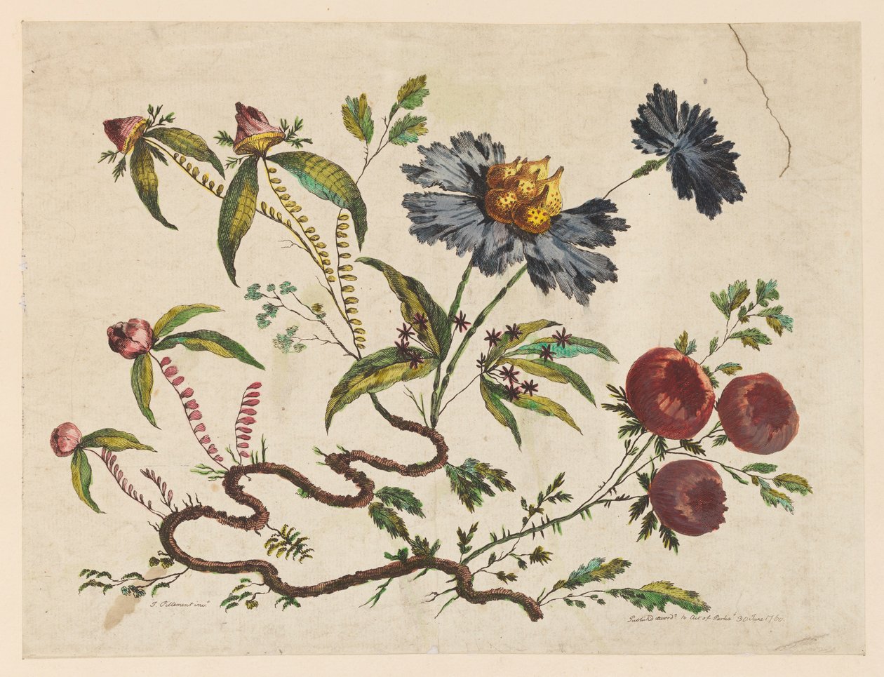 Blumenzweige, aus "Recueil de Differentes Fleurs de Fantaisie Dans le Goût Chinois" von Pierre Charles Canot