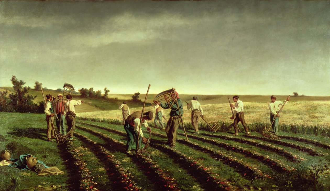 Sainfoin-Ernte in Chambaudouin, 1882 von Pierre Edmond Alexandre Hedouin