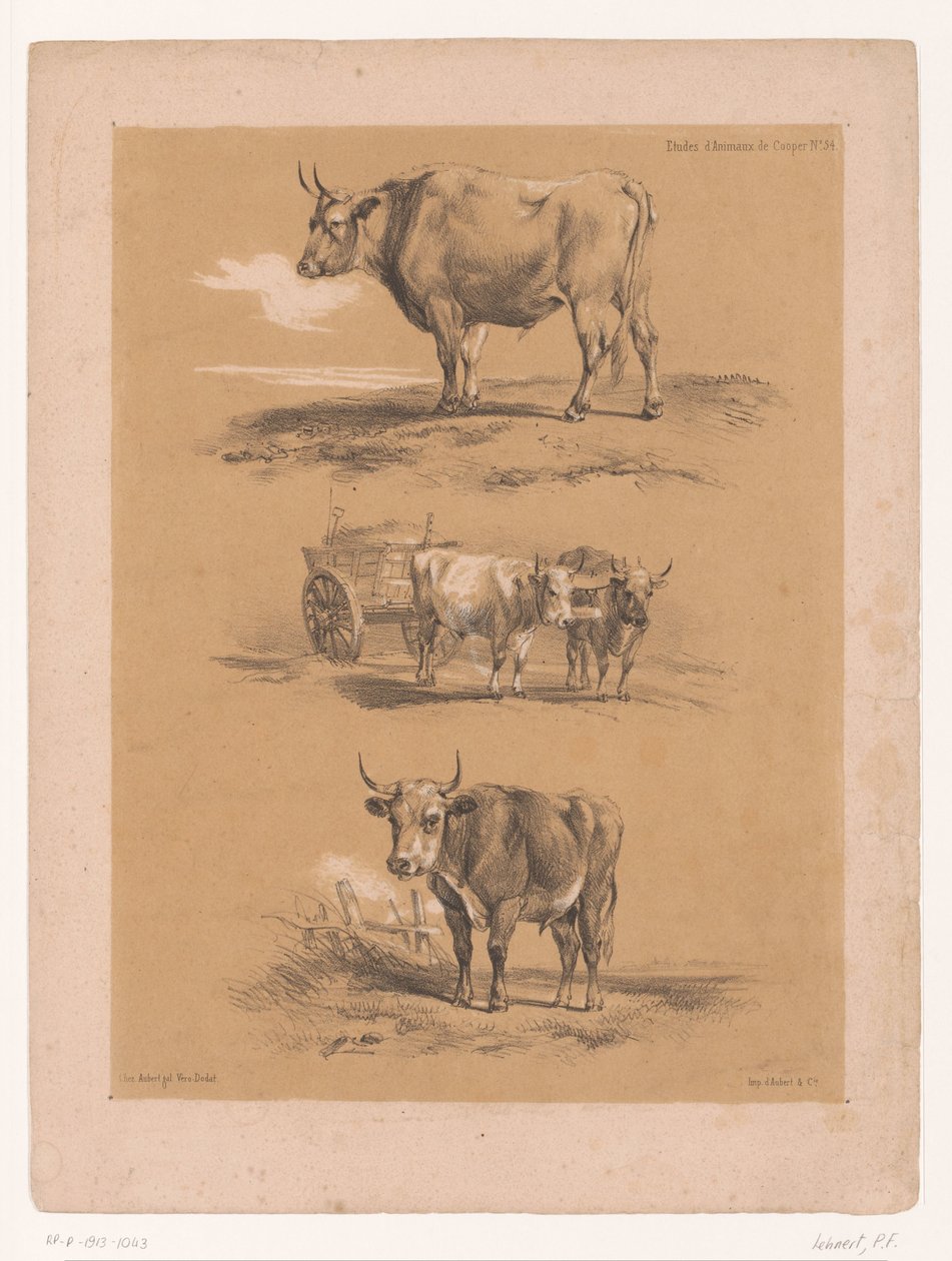 Drei Studien von Ochsen und Ochsenwagen von Pierre Frédéric Lehnert