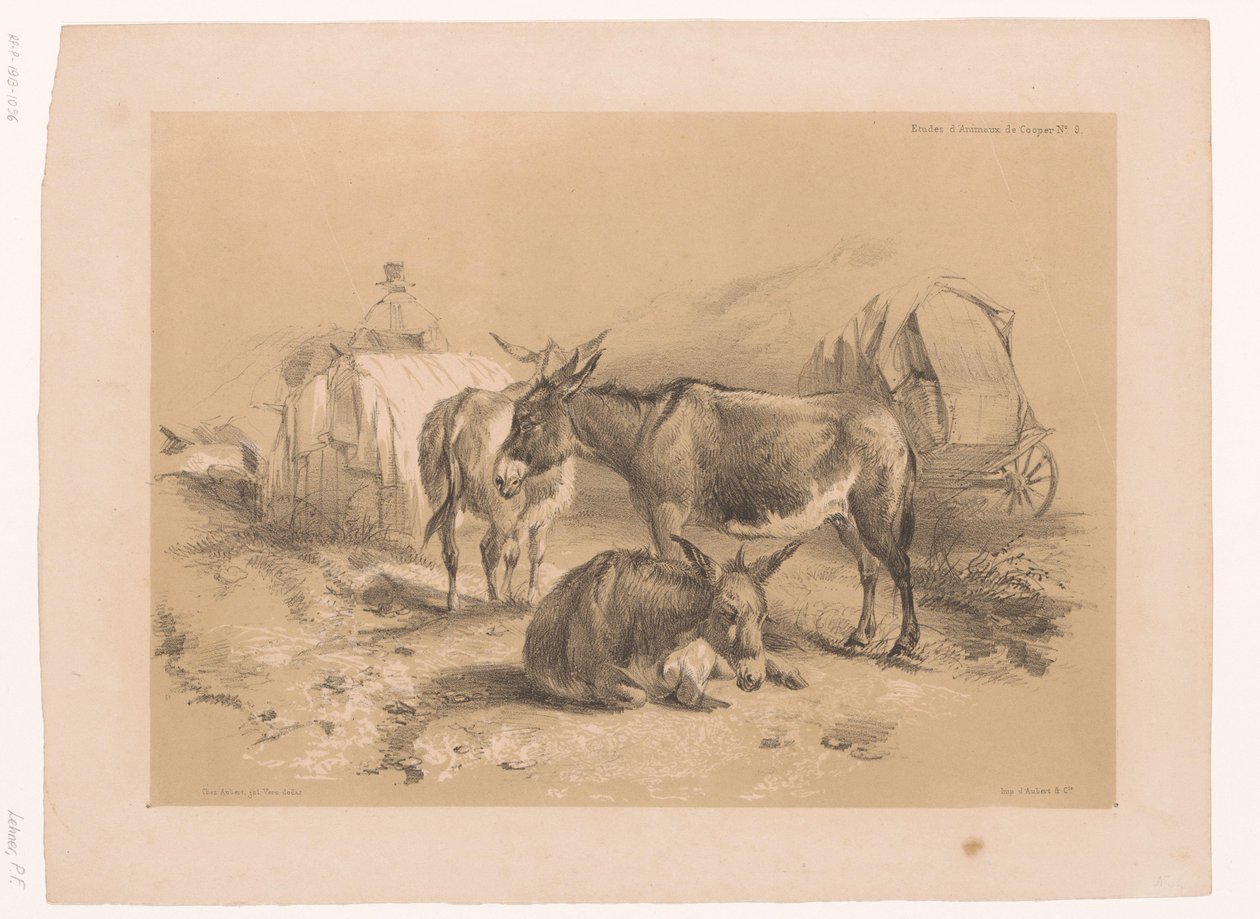 Studie von drei Eseln von Pierre Frédéric Lehnert