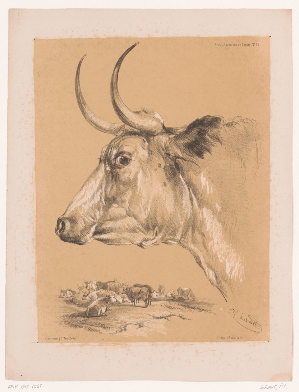 Studie eines Rindes von Pierre Frédéric Lehnert