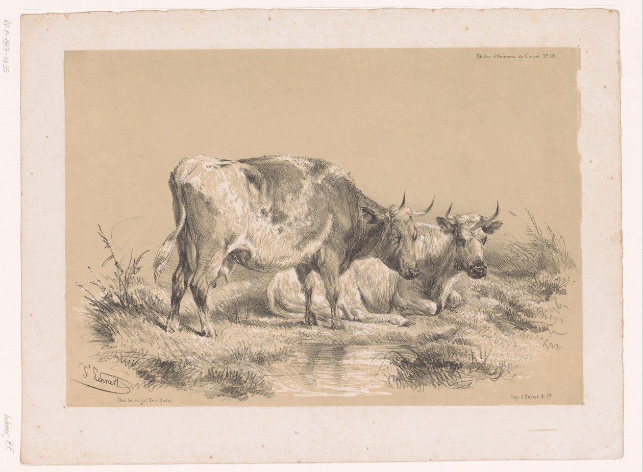 Studie von zwei Kühen von Pierre Frédéric Lehnert