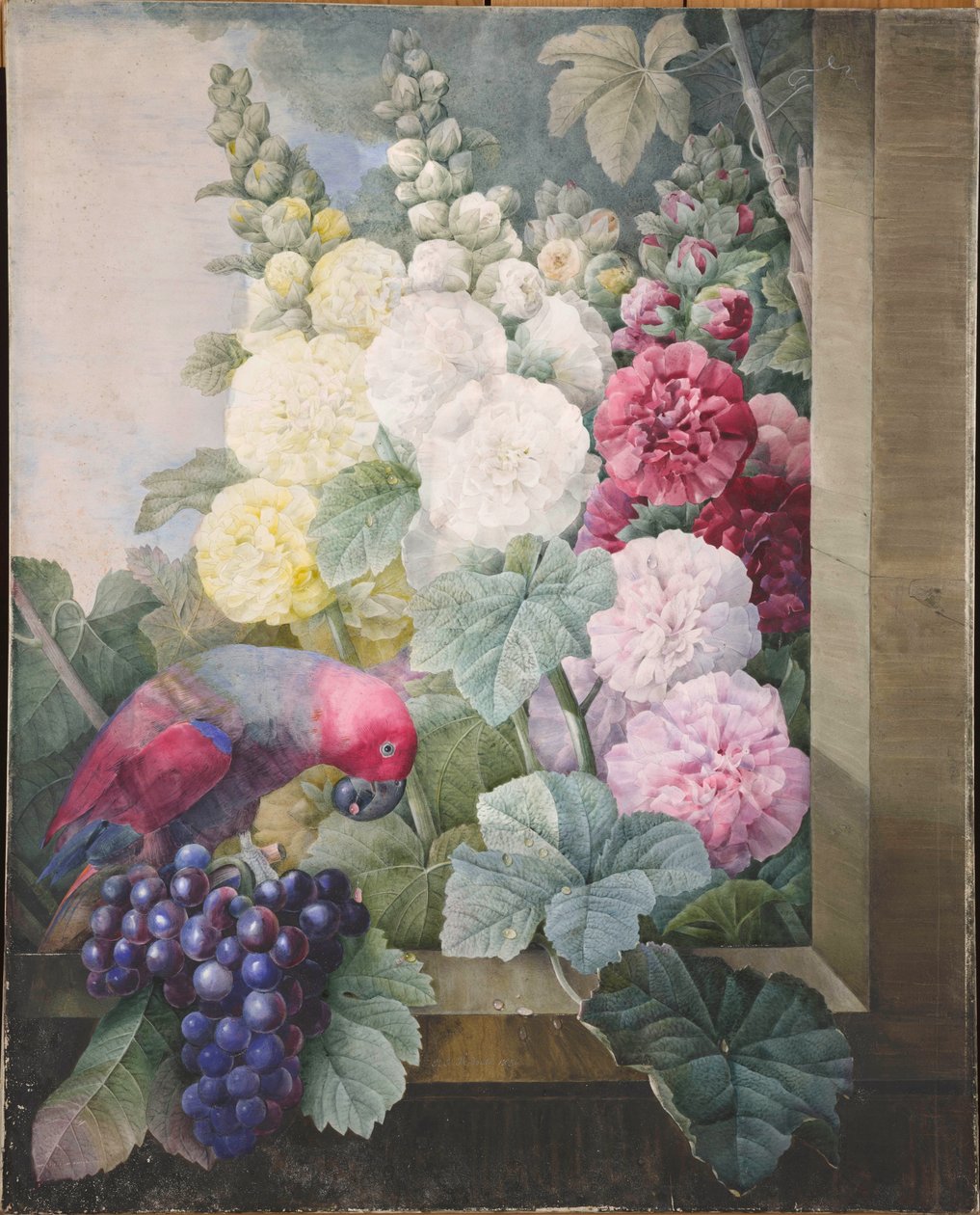 Stockrosen, Trauben und ein Papagei, 1836 von Pierre Joseph Redouté