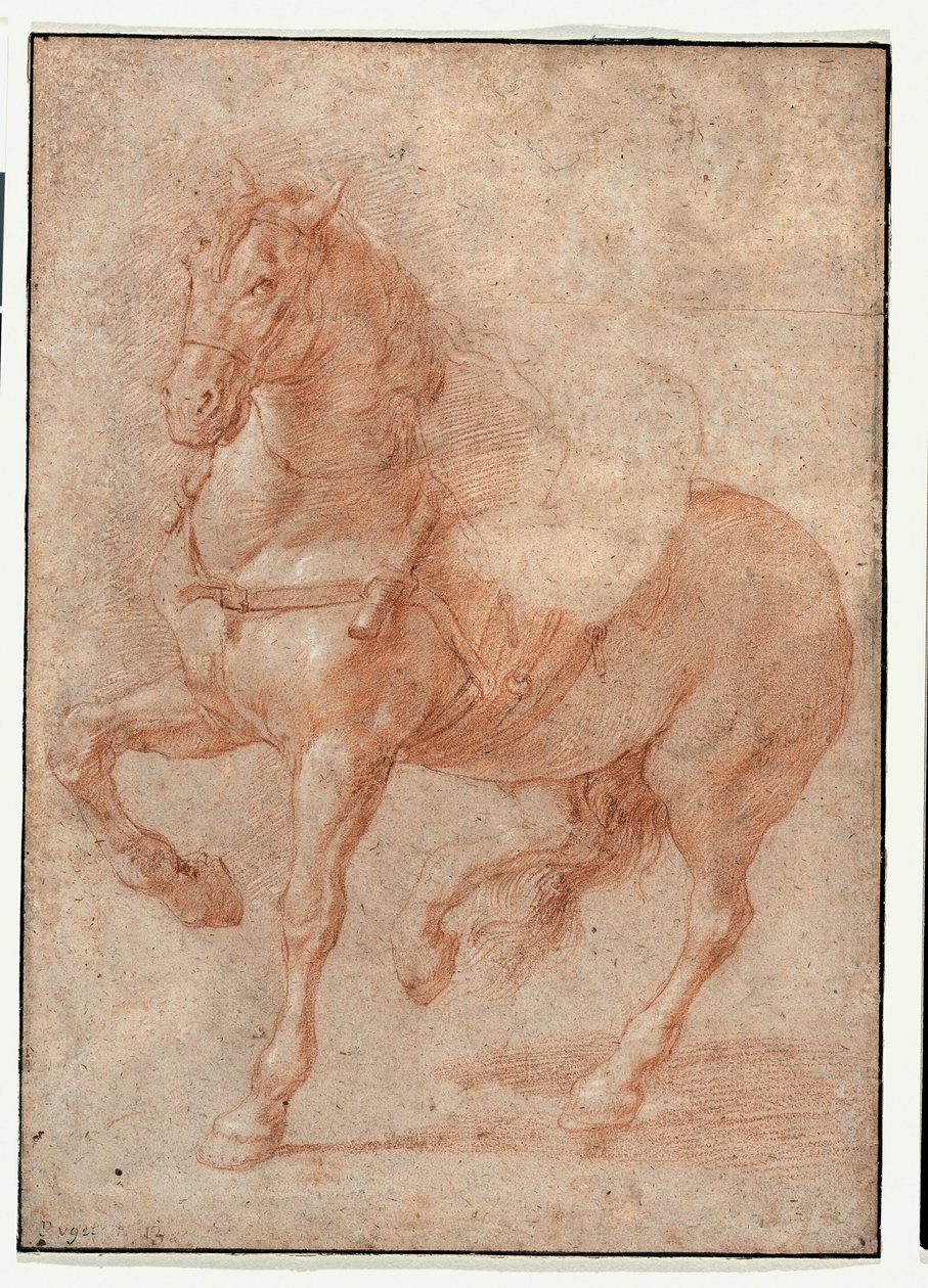 Studie von Bucephalus für das Relief "Alexander und Diogenes" von Pierre Puget