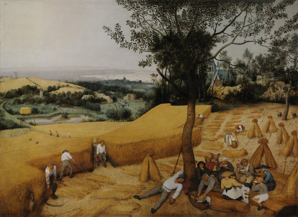 Die Kornernte von Pieter Bruegel the Elder