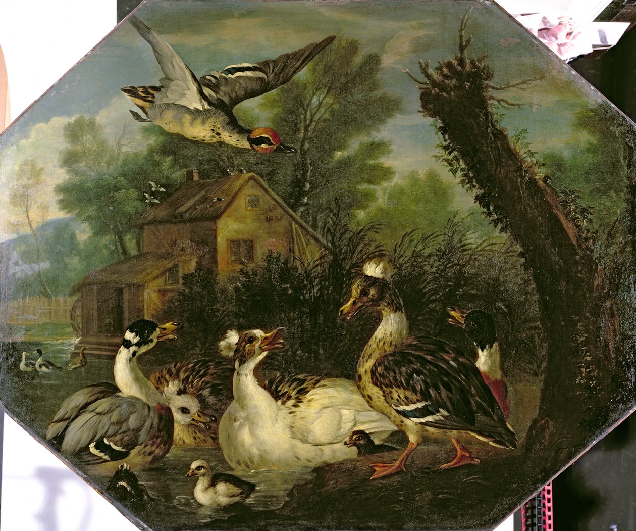 Zierwasservögel und ihre Küken auf einem Mühlenteich von Pieter Casteels