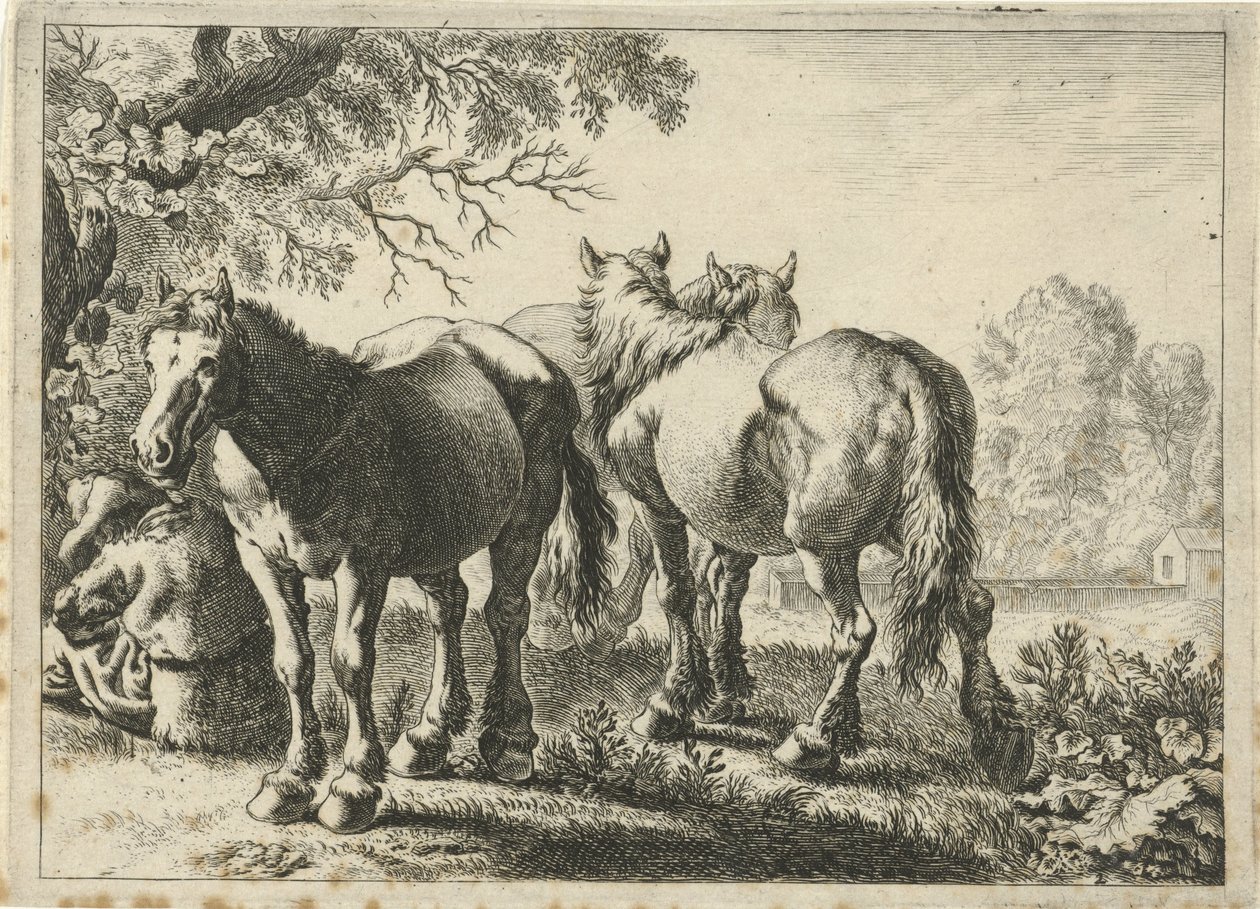 Drei Pferde und ein Bauer von Pieter Bodding van Laer