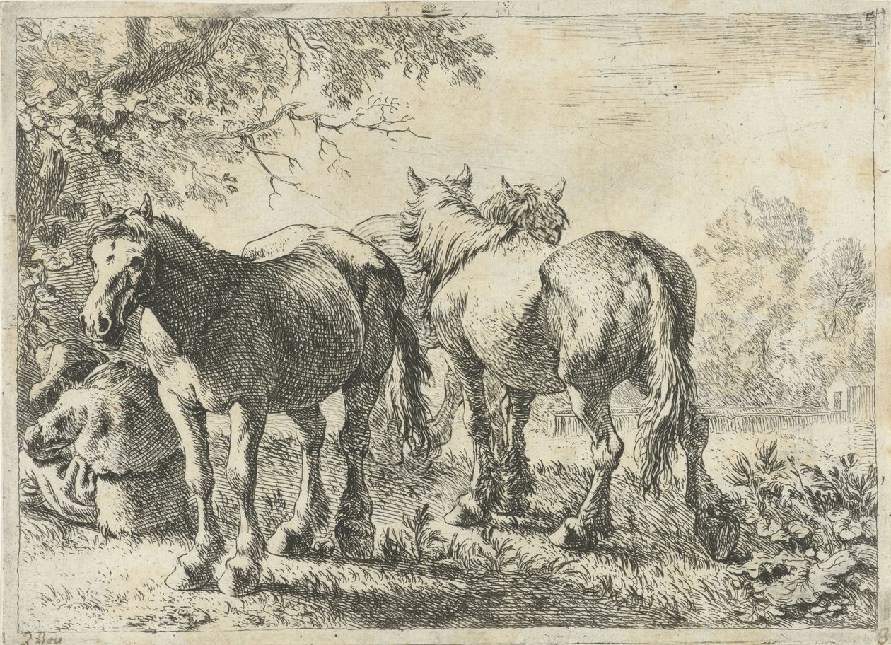 Drei Pferde und ein Bauer von Pieter Bodding van Laer