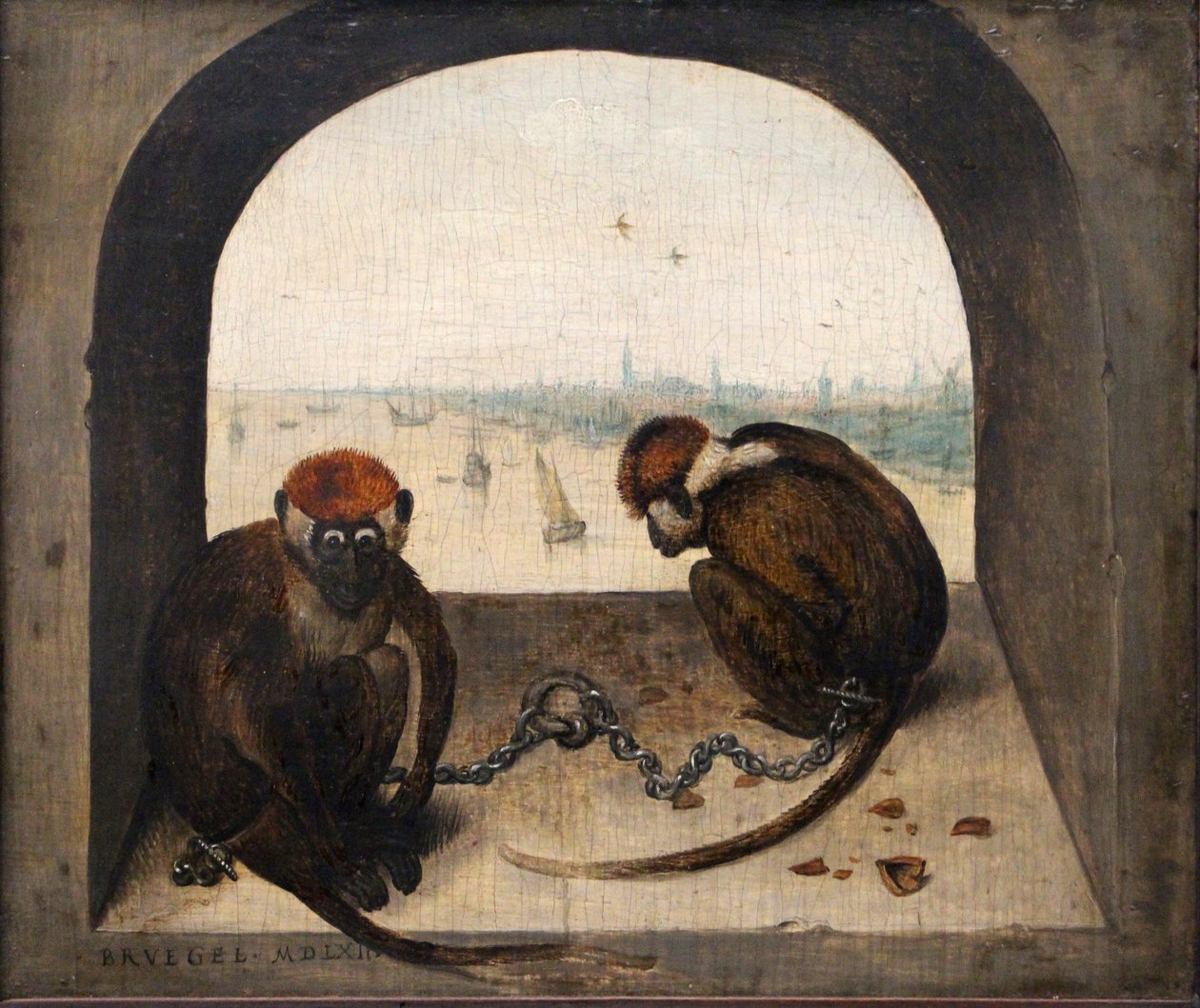 Zwei angekettete Affen von Pieter Brueghel the Elder