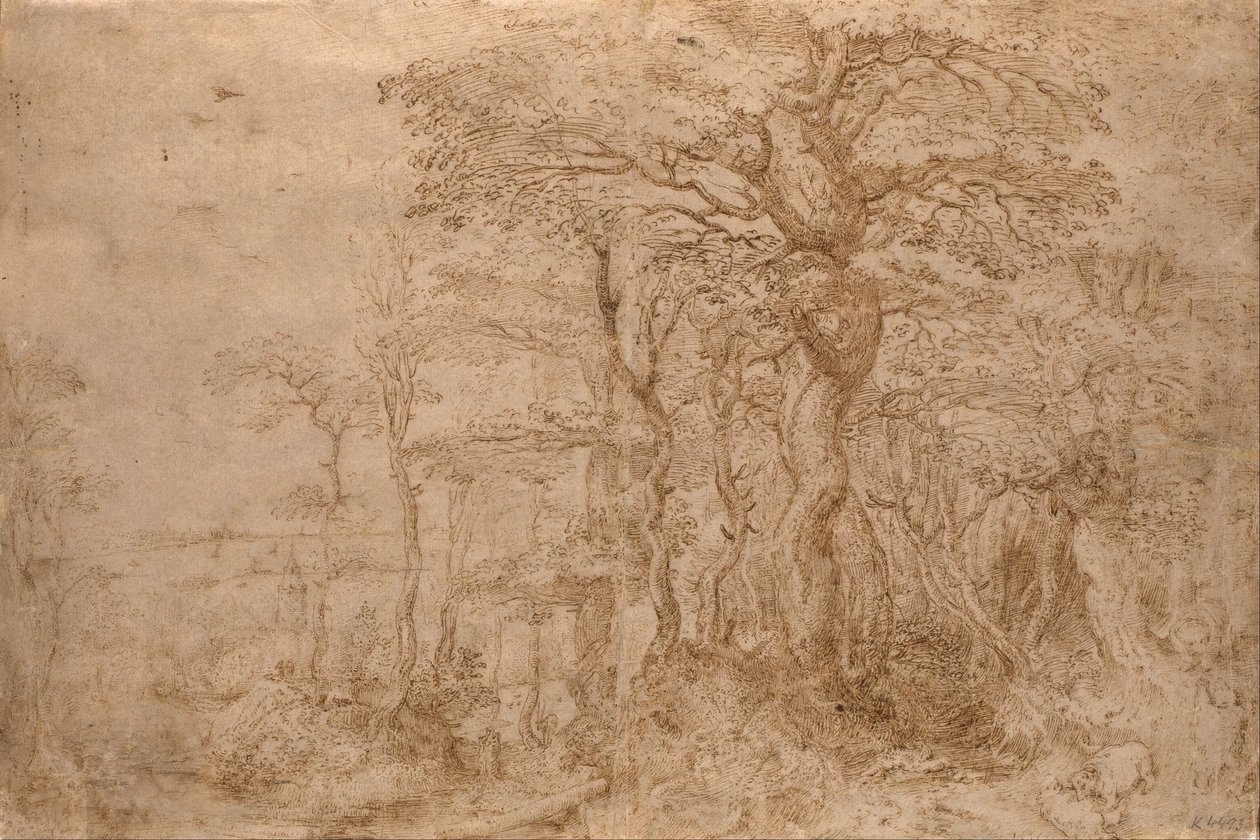 Waldlandschaft mit fünf Bären von Pieter Bruegel the Elder