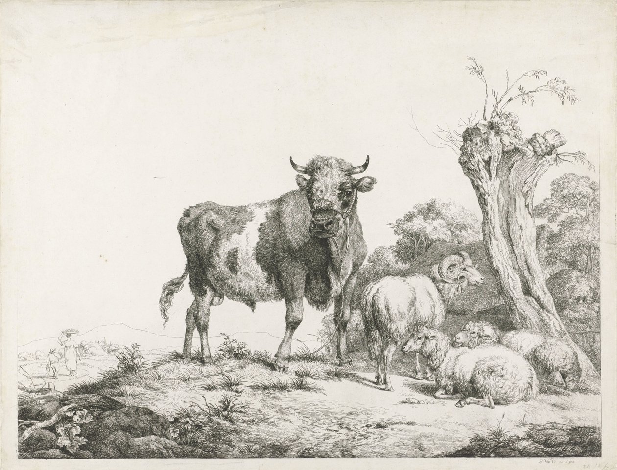 Ein Stier, ein Widder und zwei liegende Schafe bei einer Kopfweide von Pieter Gerardus van Os
