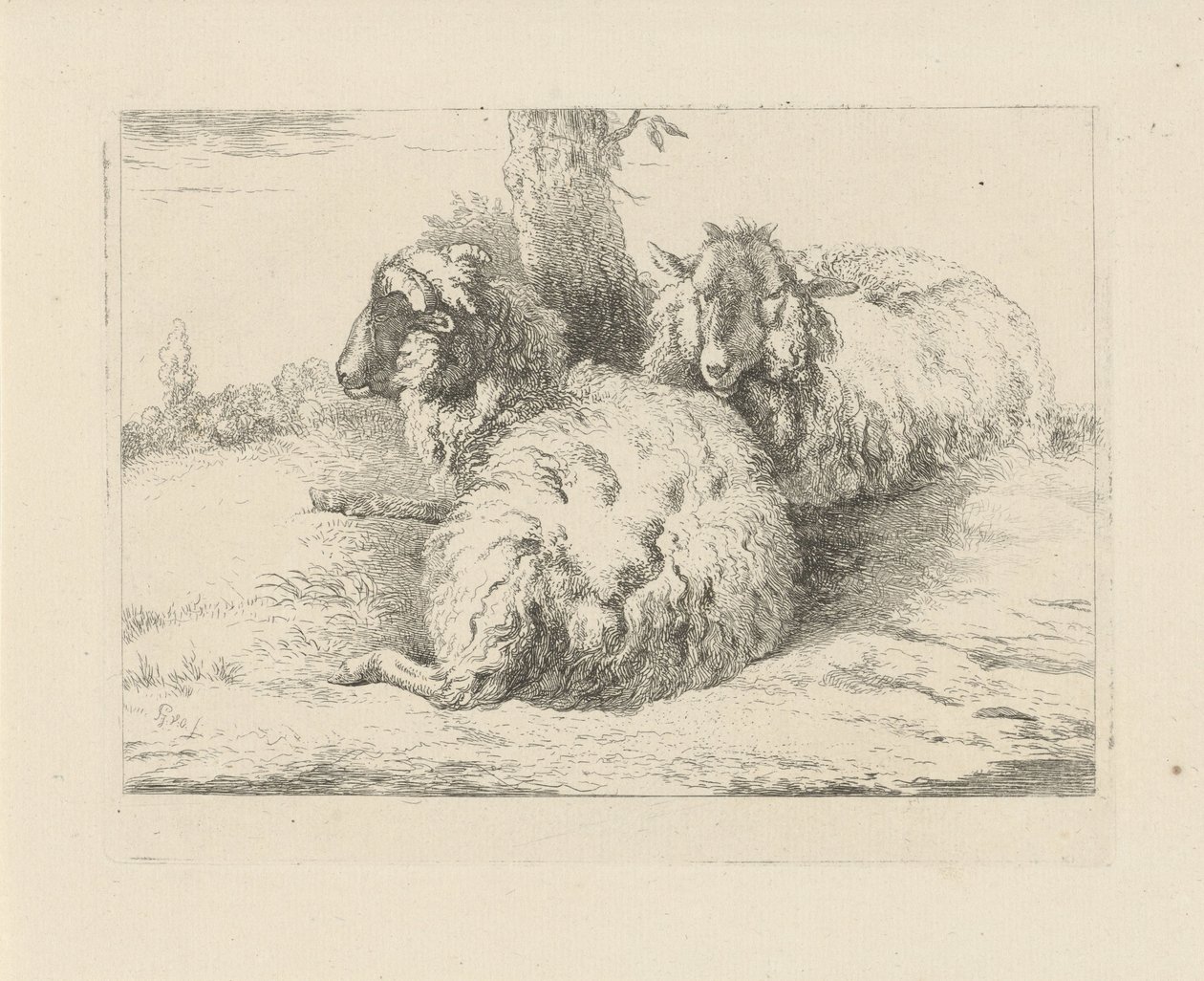 Liegende Schafe (Schafe und Ziegen) von Pieter Gerardus van Os