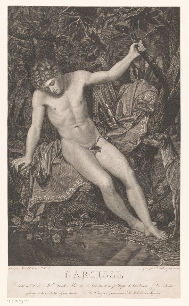 Narziss am Wasser von Pieter Jan de Vlamynck