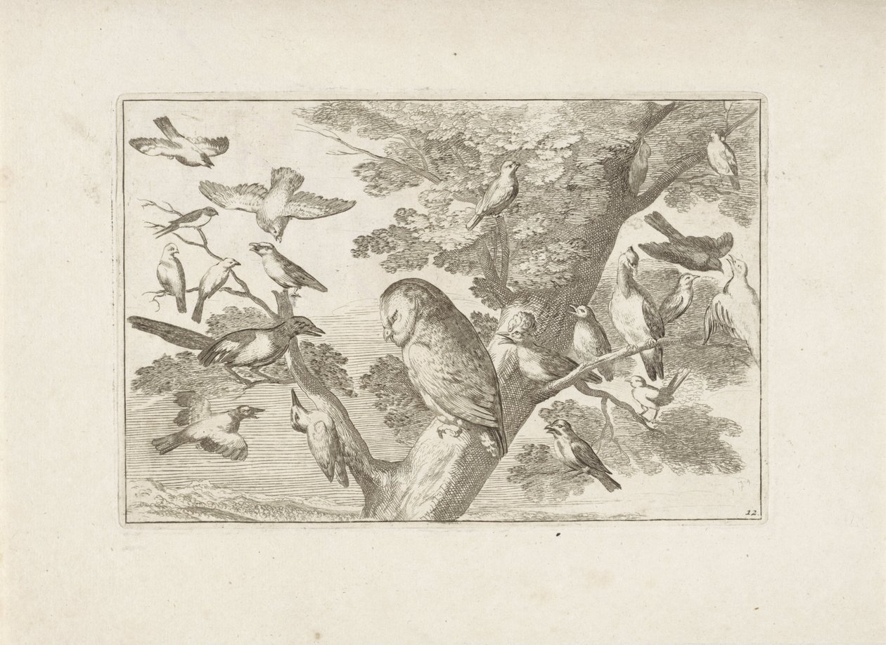 Eule und andere Vögel im Baum von Pieter Schenk (I) (attributed to)