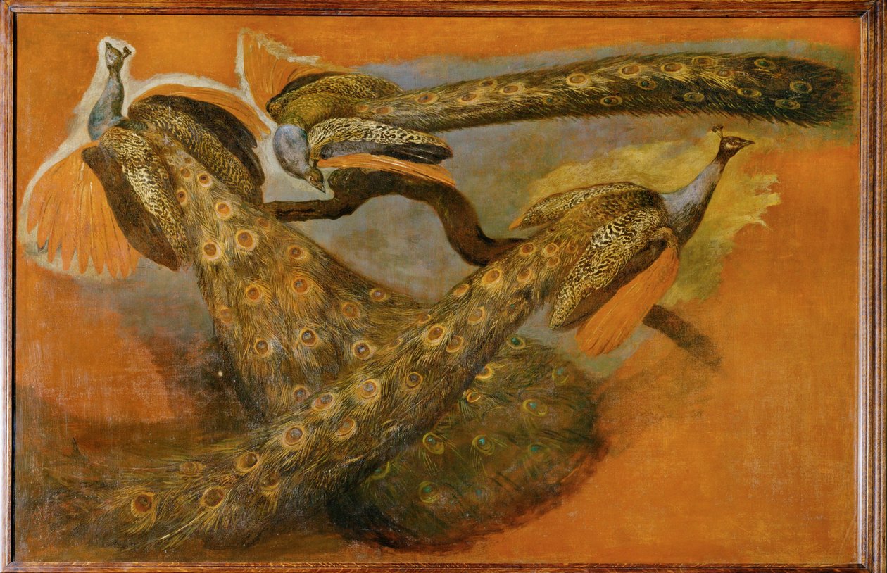 Drei Pfauen von Pieter or Peter Boel