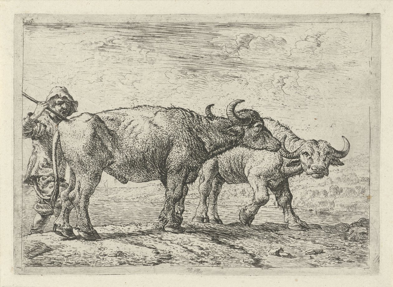 Zwei Büffel und ein Hirte von Pieter van Laer