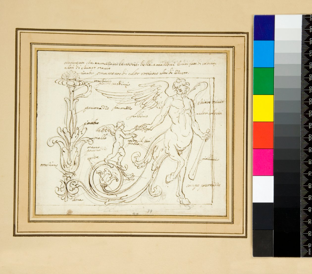 Ornamente, die die Siege der Amazonen trennen, einige aus kleinen Farben, andere aus Hell-Dunkel von Pietro Santi Bartoli