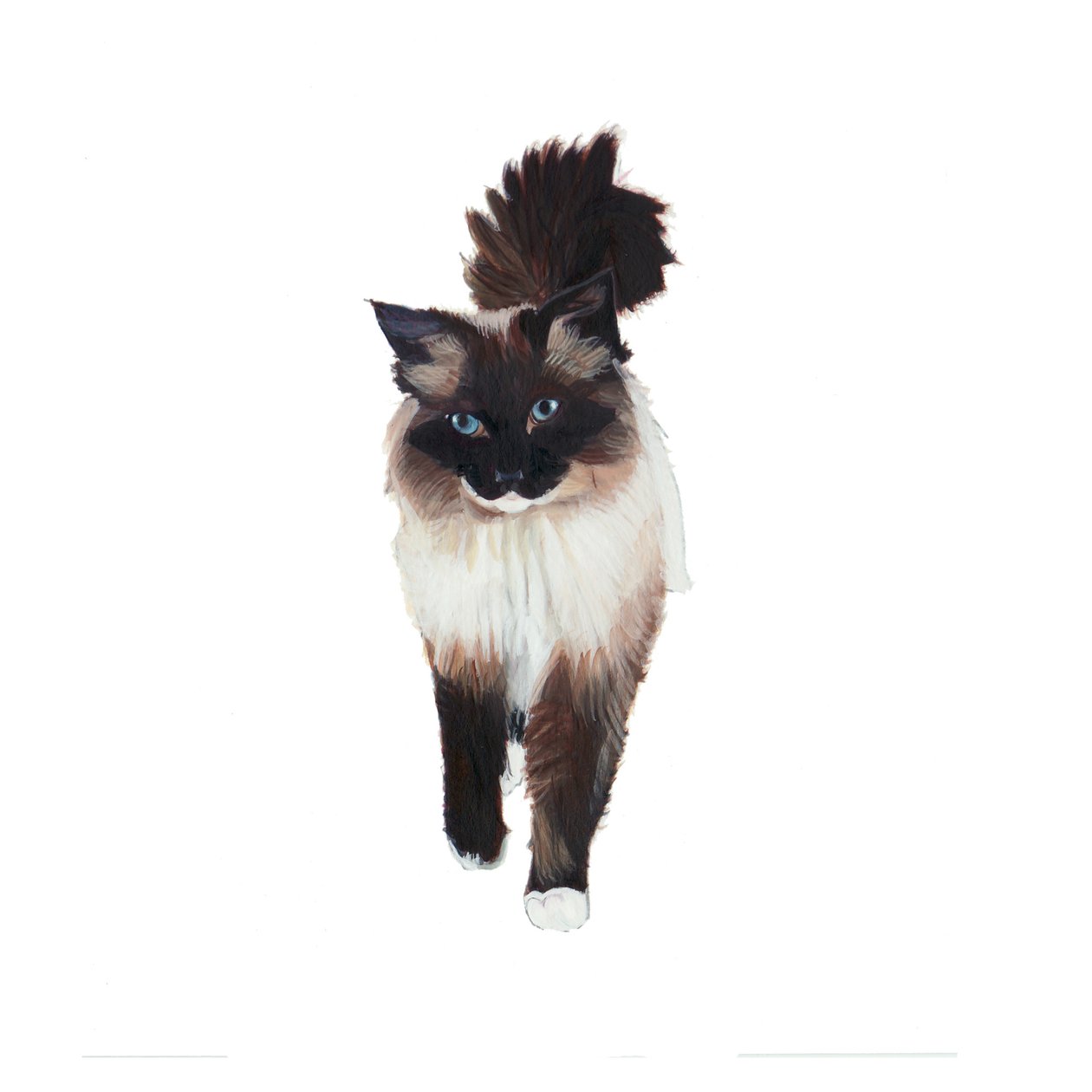 Ragdoll, 2014 von Polly Horner