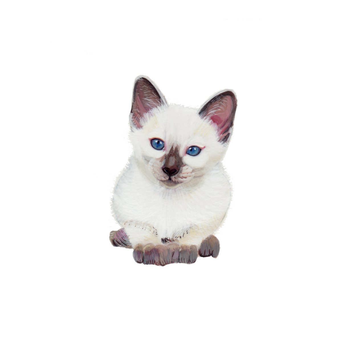Siamkatze von Polly Horner
