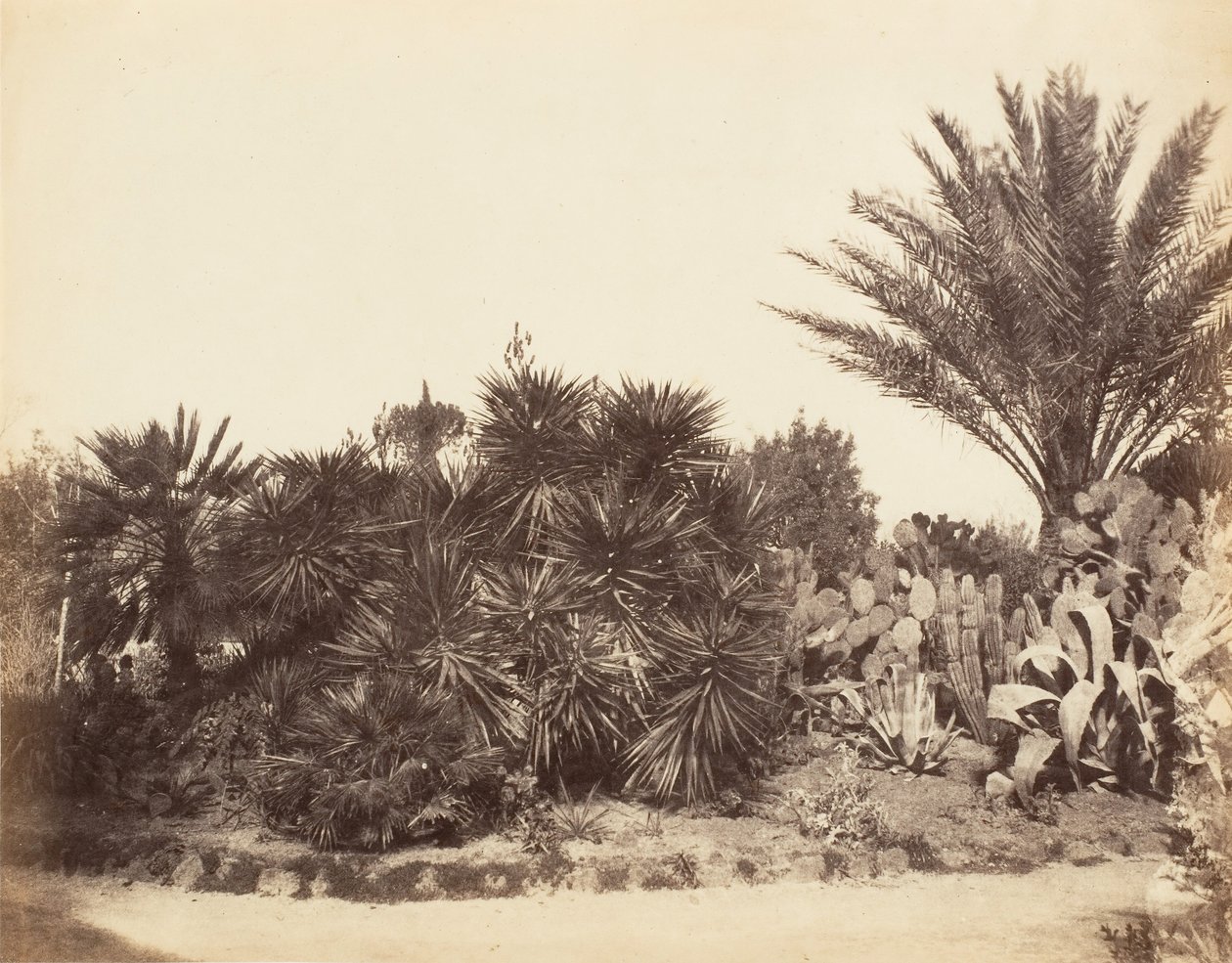 Pincian-Garten, Rom, 1853-56 von Possibly by Jane Martha St. John.