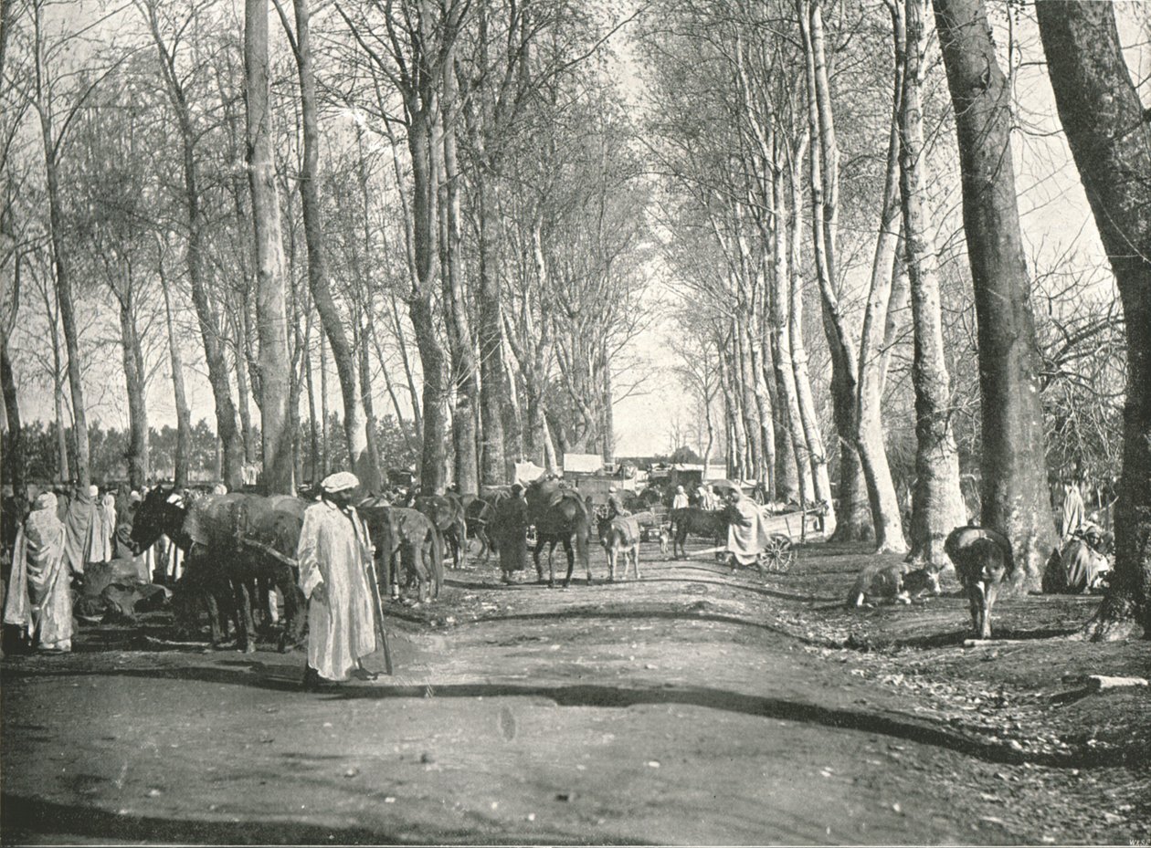 Arabischer Jahrmarkt und Markt, Boufarik, Algerien, 1895 von Poulton and Co