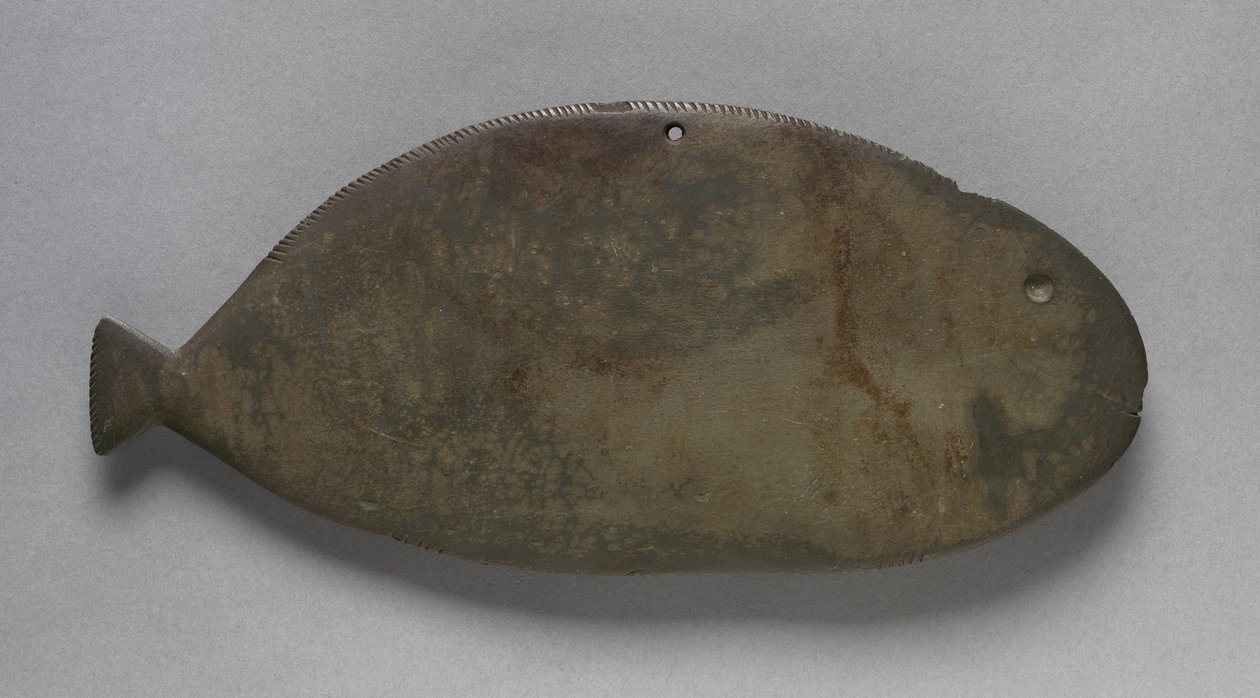 Palette in Form eines Fisches, ca. 3500-2950 v. Chr. (Grauwacke) von Predynastic Period Egyptian