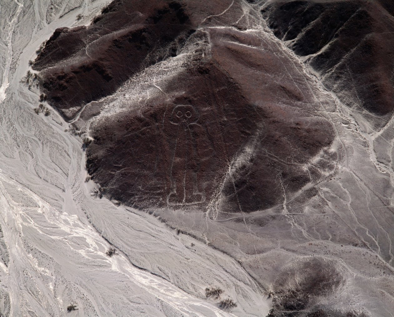 Luftaufnahme der Nazca-Linien, die eine menschliche Figur darstellen von Prehistoric Prehistoric