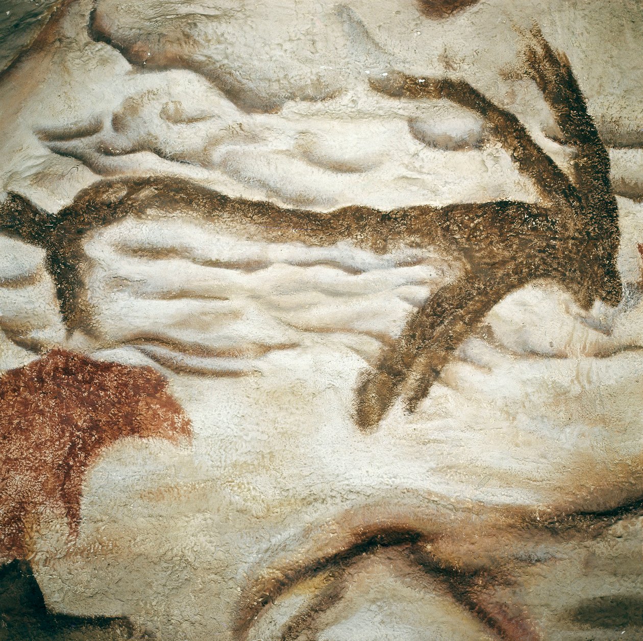 Hirschfelsenmalerei, Höhle von Lascaux, Dordogne, Frankreich, Oberes Paläolithikum (Magdalénien) ca. 13000 Jahre alt von Prehistoric Prehistoric