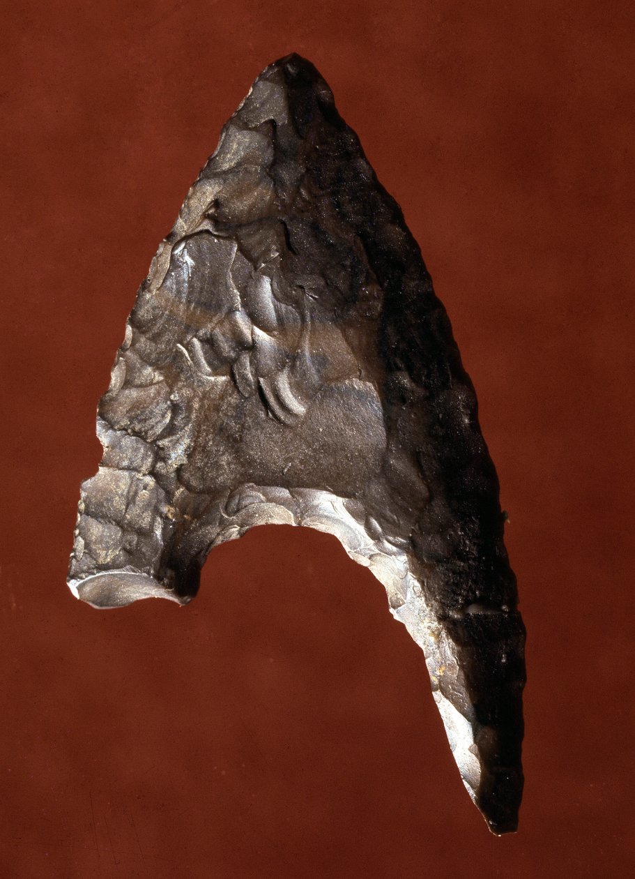 Ägyptische Antike: Pfeilspitze vom Fundort Fayoum, Ägypten. Vordynastische Zeit. Verona, Museo Civico di Storia Naturale, Italien von Prehistoric Prehistoric