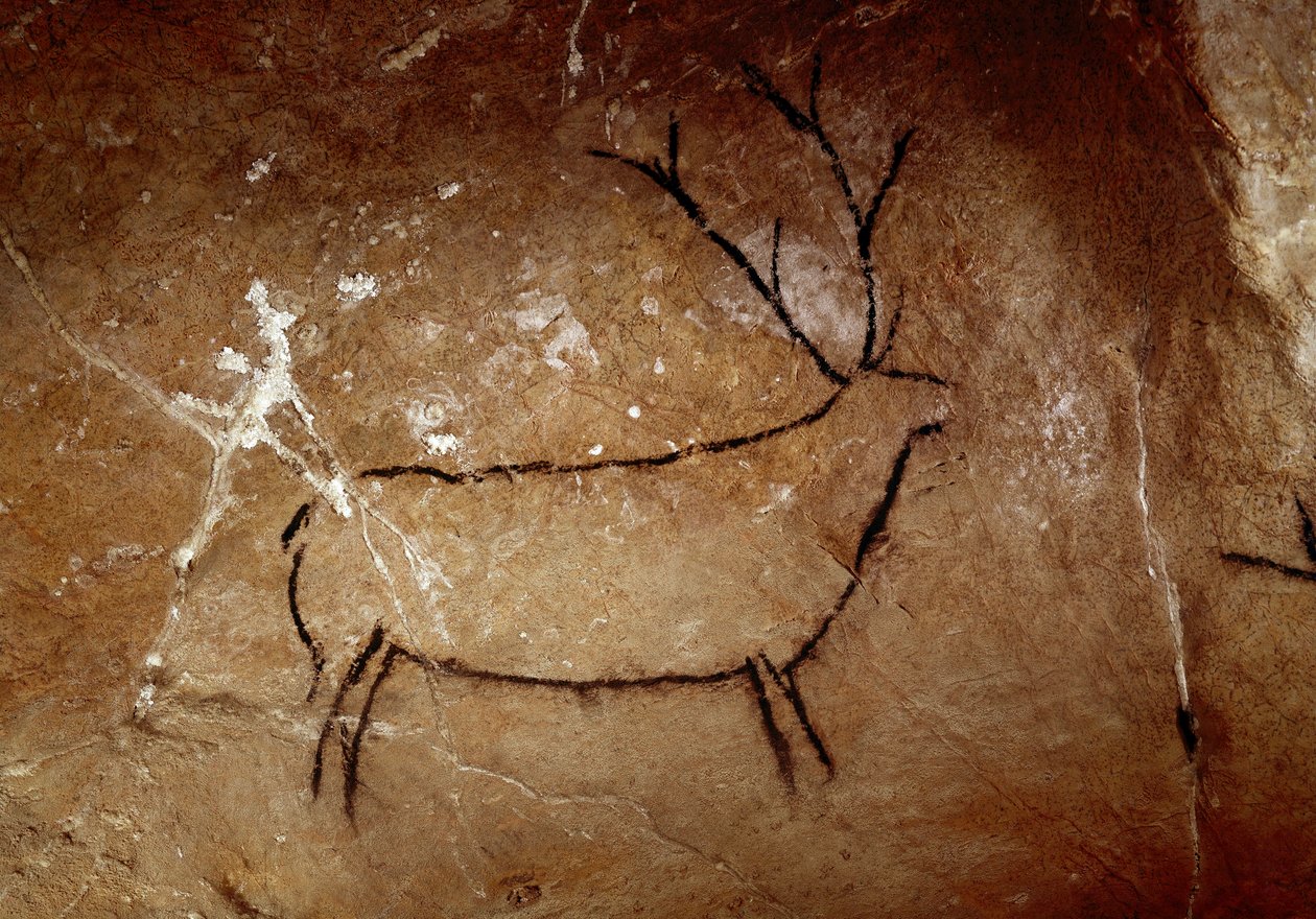 Urgeschichte: ein Hirsch. Oberpaläolithische Höhlenmalerei (Magdalénien) (16.500 bis 14.000 Jahre vor heute). Steinzeit. Höhle von Las Chimeneas, Monte Castillo, Spanien von Prehistoric Prehistoric