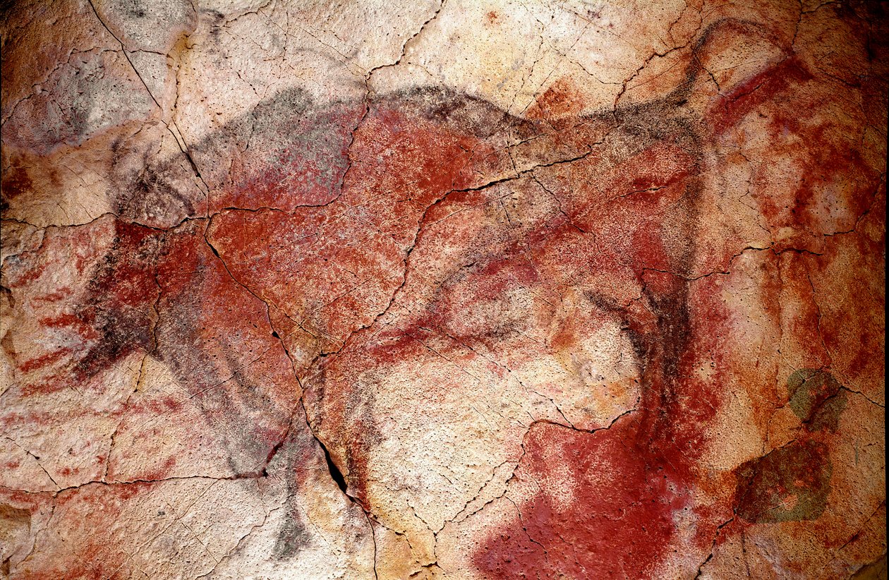 Vorgeschichte: „Bison in Ruhe“ Felsmalerei des Oberen Paläolithikums (Magdalénien) (zwischen 16500 und 14000 Jahren) Bisonhöhle, Altamira, Santander, Spanien von Prehistoric Prehistoric