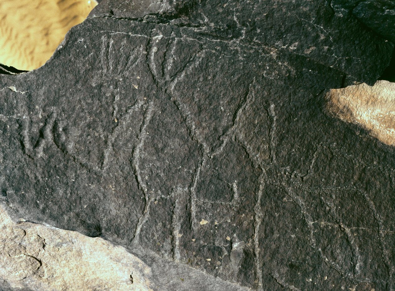 Urgeschichte, Felskunst: Gravur. Steinzeit 5000-2000 v. Chr. Taghit, Hochplateau des Hoggar (Ahaggar), Algerien von Prehistoric Prehistoric