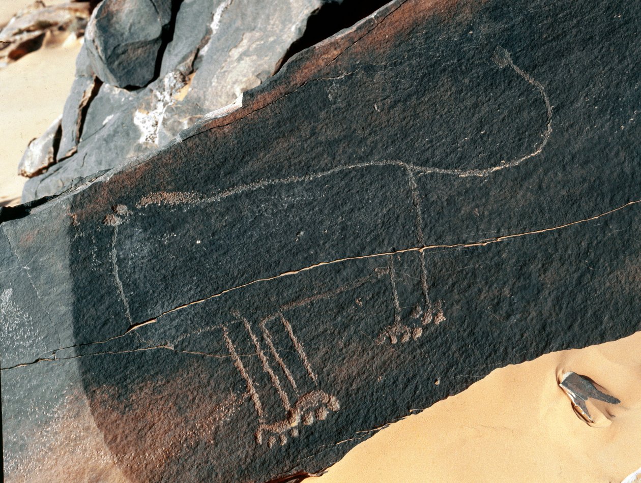 Vorgeschichte, Felskunst: Grabfelsen mit der Darstellung eines Löwen. Tazina-Stil. Steinzeit 5000-2000 v. Chr. Taghit, Hochplateau von Hoggar (Ahaggar), Algerien von Prehistoric Prehistoric