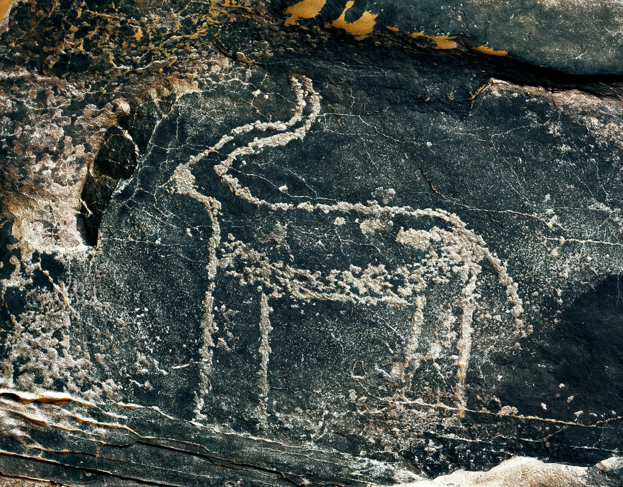 Felskunst: Grabstein mit Darstellung einer Antilope. Steinzeit 5000-2000 v. Chr. Taghit, Hochplateau von Hoggar, Algerien von Prehistoric Prehistoric