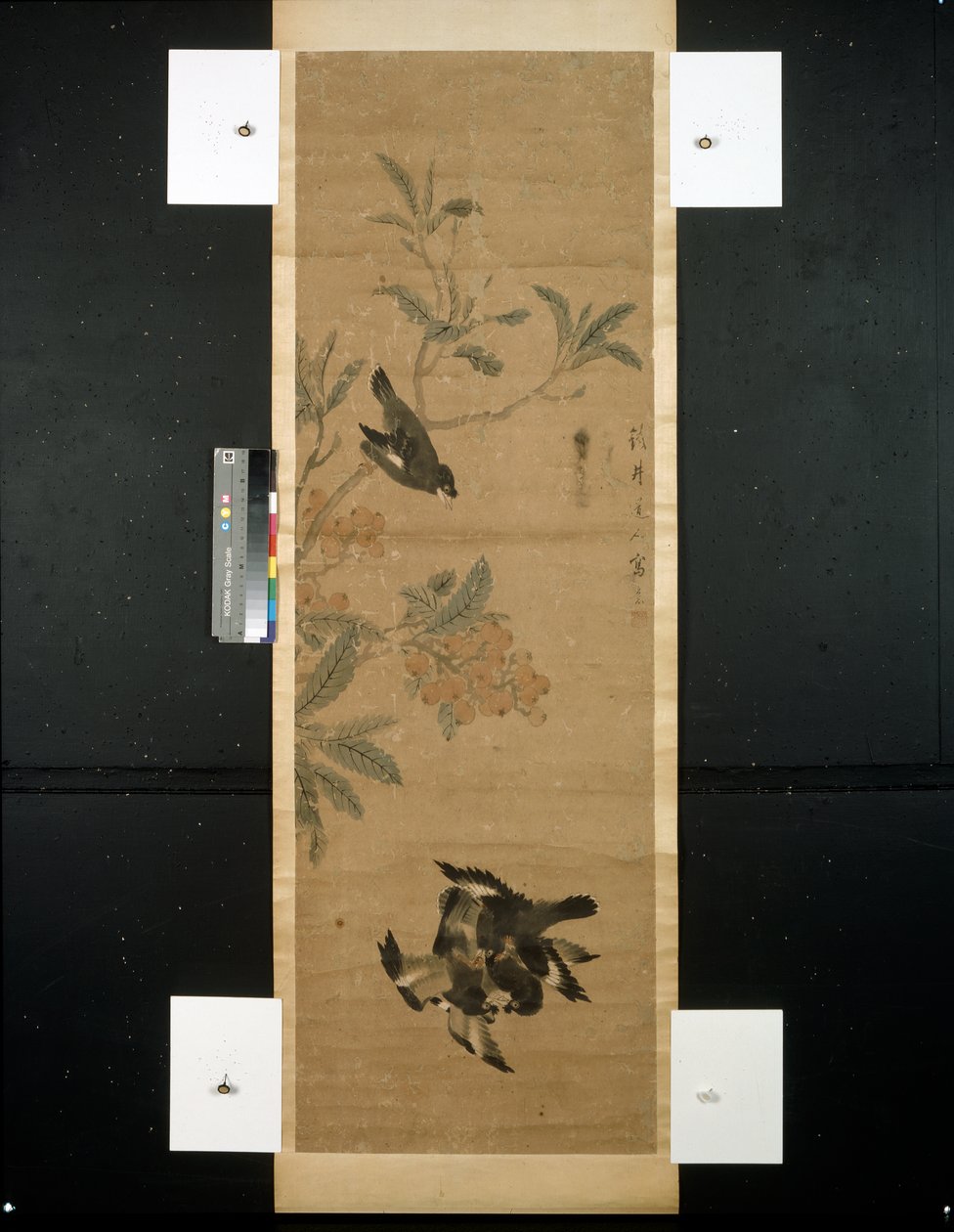 Vögel und Zweig von Qing Dynasty Chinese School