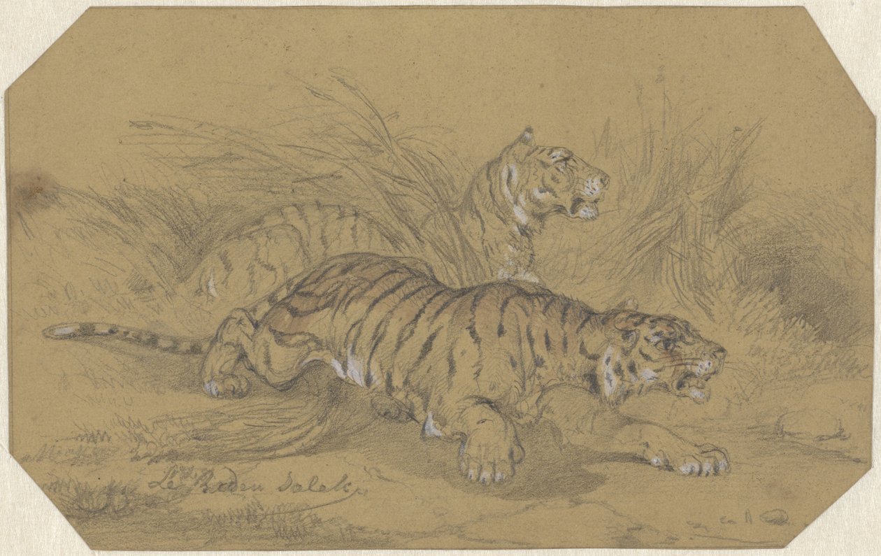 Zwei Tiger schleichen durch das Gras von Raden Sarief Bastaman Saleh