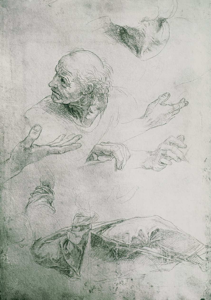 Studien zur Figur von Bramante (1444-1515) von Raffaello Sanzio Raphael