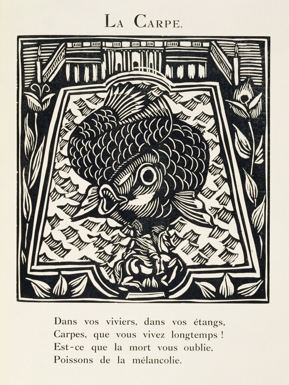 Der Karpfen, Illustration aus 